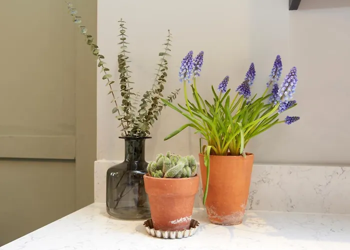 Ferienhaus The Bishy, Centre & Free Parking York