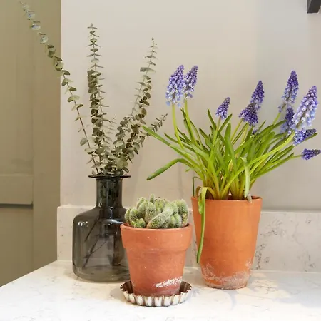 Сasa de vacaciones The Bishy By Chateau Anna, Centre & Free Parking York